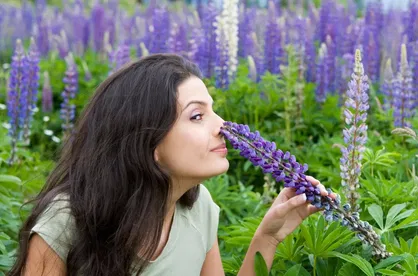 Scent Memories: A Journey Through Time
